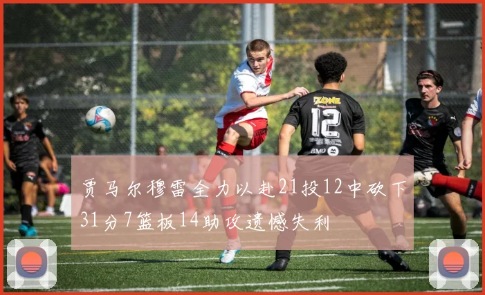 贾马尔穆雷全力以赴21投12中砍下31分7篮板14助攻遗憾失利