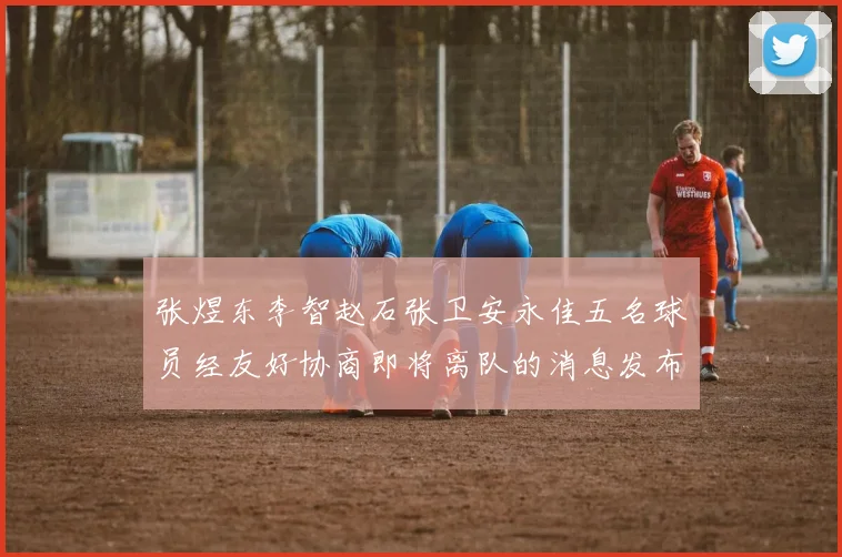 张煜东李智赵石张卫安永佳五名球员经友好协商即将离队的消息发布