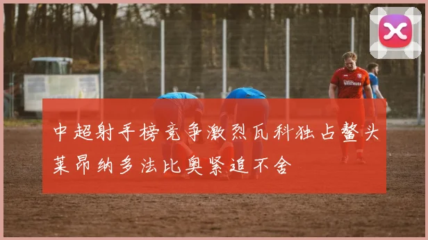 中超射手榜竞争激烈瓦科独占鳌头莱昂纳多法比奥紧追不舍