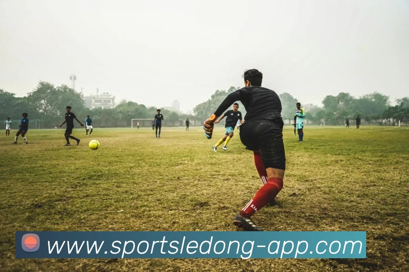 乐动体育发展历程